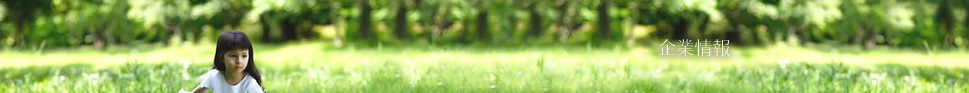 企業情報