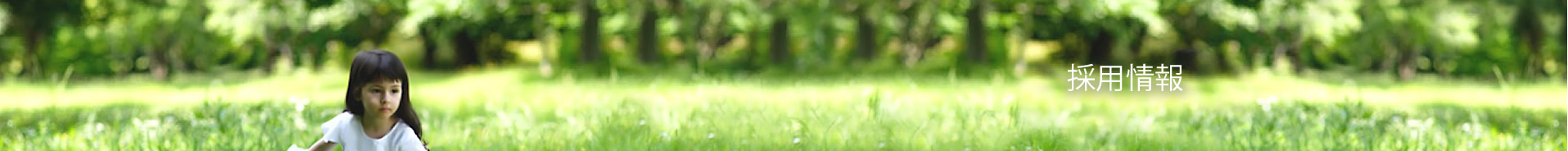 採用情報